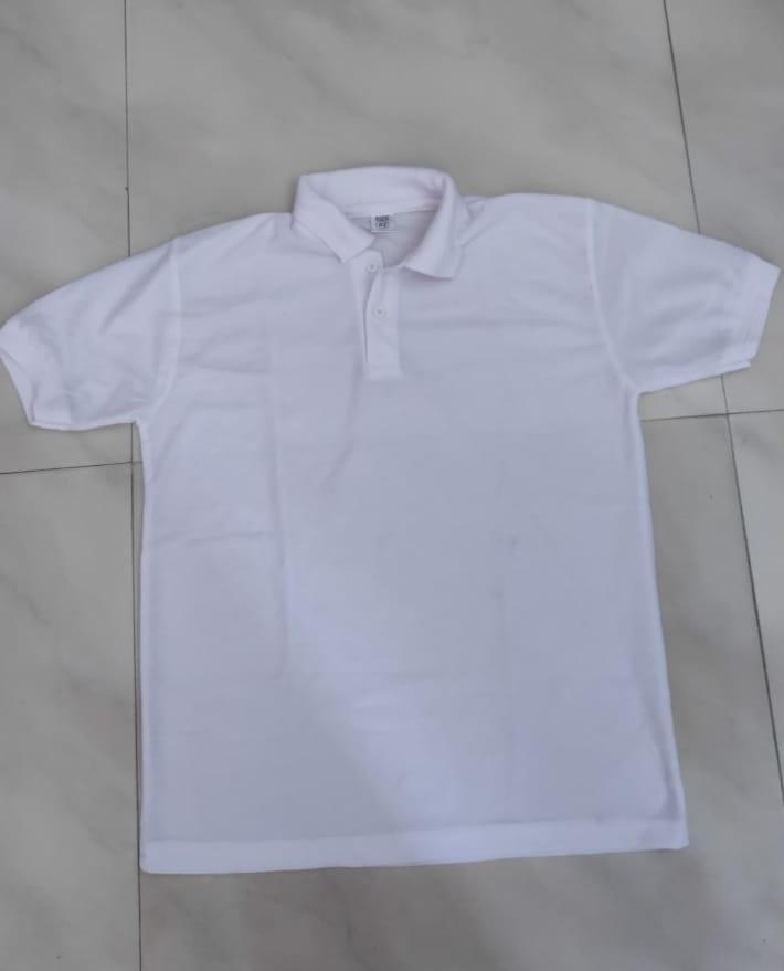 Cotton Blend Solid Half Sleeves Polo T-Shirt